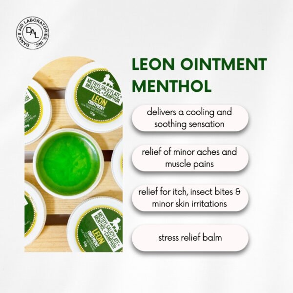 Dann’s Aid Leon Ointment Menthol - Image 4
